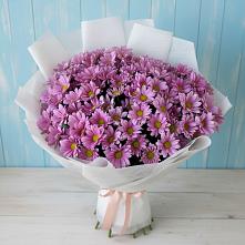 Букет цветов из:  Хризантемы в Лисино-Корпус