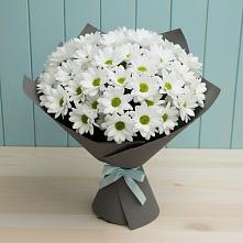 Букет цветов из:  Хризантемы #REPLACE_PRED# Лисино-Корпус