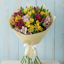Букет цветов из:  Альстромерии в Лисино-Корпус