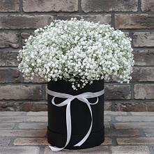 Цветочная композиция из Гипсофила в шляпной коробке в Лисино-Корпус