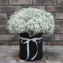 Цветочная композиция из Гипсофила в шляпной коробке в Лисино-Корпус