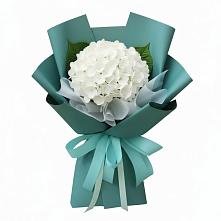 Букет цветов из:  Гортензия в Лисино-Корпус